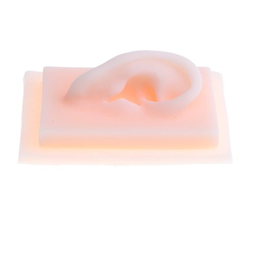 2Pcs Human Right Ear Model Life Size Soft Silicone Ear Acupuncture Practice Model 1:1 - Thumbnail 5