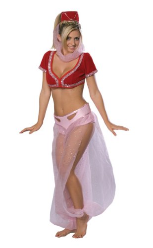 I Dream Of Jeannie Secret Wishes Costume