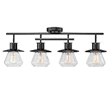 Globe Electric 59530 4-Light Track Lighting, Dark