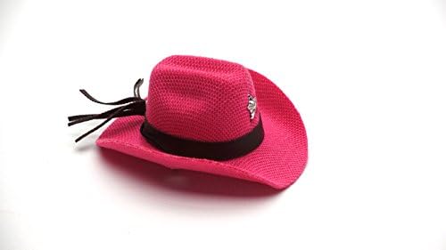 Carolina Designer Dragons' Bearded Dragon Cowboy Hat, Pink