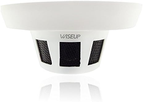 Wiseup™ 700TVL Indoor Hidden Camera Smoke Detector Security Camera with 1/3" Sony Effio CCD Sensor
