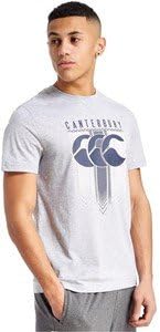 Canterbury shirt hoop herrington tee - pale grey marl