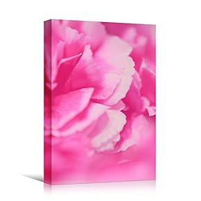 signwin Canvas Wall Art Pink Petal Close Up...