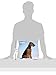 Airedale Calendar - Breed Specific Airedales Calendar - 2015 Wall calendars - Dog Calendars - Monthly Wall Calendar by Avonside