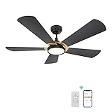5 Blade Smart Ceiling Fan with Lights, 10-speed