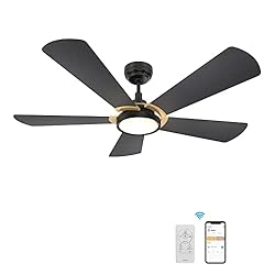 5 Blade Smart Ceiling Fan with Lights, 10-speed