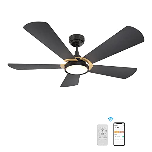 5 Blade Smart Ceiling Fan with Lights, 10-speed