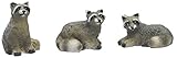 Mini Raccoons - Set of 3