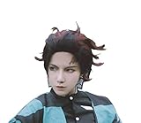 Demon Slayer Kimetsu no Yaiba Tanjiro Kamado Cosplay Wig Cosplay Costume Hair Red
