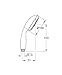 Grohe 28421001 New Tempesta 4-spray Hand shower