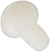 Marineland (Aquaria) AMLPR3132 Aquarium Lens Cover Fastener Replacement for Eclipse Power Filter System Model 3/6 and 12