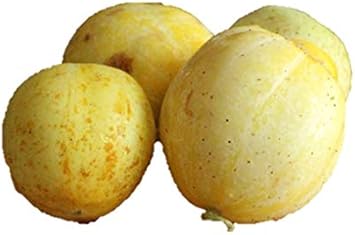 Amazon レモンきゅうり 種 18粒 野菜 Amazon レモンきゅうり 種 18粒 野菜