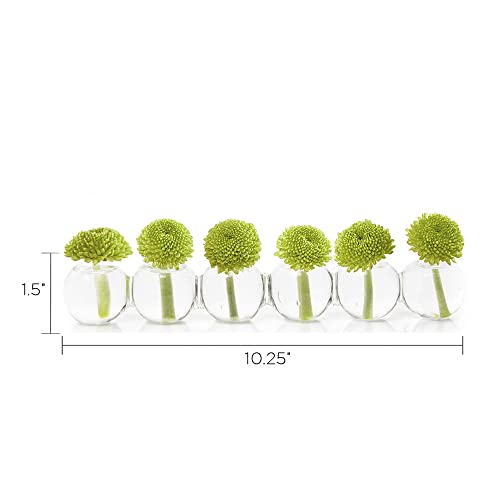 Caterpillar, Clear Glass Bud Vase 10.25" Long 1" Wide 1.5" Tall for