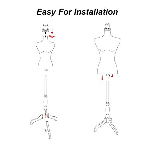 Female Mannequin Torso Body Dress Form with Black Adjustable Tripod Stand for Clothing Dress Jewelry Display, Black