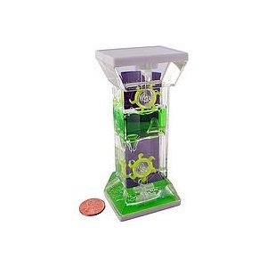 UPC 097138632548, Rhode Island Novelty Water Wheel Timer Toy (Colors May Vary)