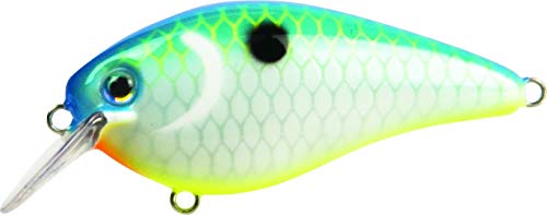Strike King KVD1.5 Square Bill Crankbait, Citrus Shad, 2 1/2"/7/16 oz