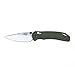 Firebird GANZO F753M1 Pocket Folding Knife Anti-Slip G-10 Handle with Clip 440C Stainless Steel Blade Camping Hunting Gear Fishing Folder Outdoor EDC Knife (Green)