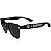 Siskiyou NHL Los Angeles Kings Beachfarer Sunglasses