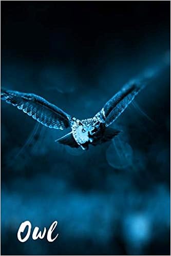 Owl Notebook With Animals For Kids Notebook For Coloring