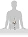Sunset Vista Designs Bouncy Garden Decoration with Mini Cow Bell, 11-Inch, Galvanized Metal Rooster
