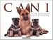 Cani. Guida illustrata a tutte le razze - Derek Hall, A. Pau
