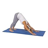 Sunny Health and Fitness Yoga Mat (Blue)