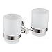 Double Toothbrush Holder, Angle Simple SUS304 Stainless Steel Wall Mounted Glass Tumbler Holder with Frosted Glass Cup Toothpaste Razor Organizer Bathroom Storage, Brushed Nickel