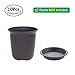 T4U 5.75 Inch Plastic Planter Pots with Saucer Brown Set of 10, Seeding Nursery Planter Pot with Drainage and Tray for Flowers Herbs African Violets Succulents Orchid Cactus Indoor Outdoor
