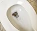 Mom Invented Tinkle Targets Construction