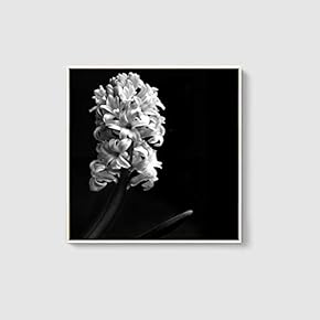 Framed Canvas Home Artwork Decoration Beautiful Flower Canvas Wall Art for Living Room, Bedroom - 16x16 inches