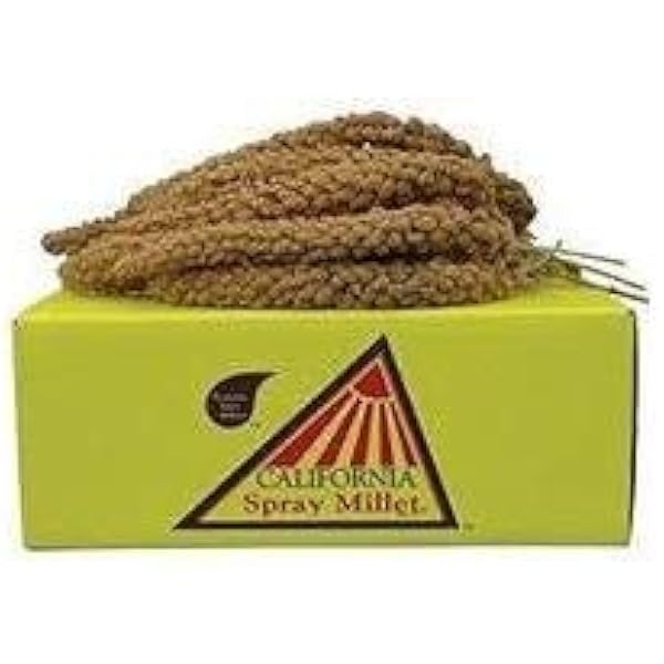 spray millet bulk