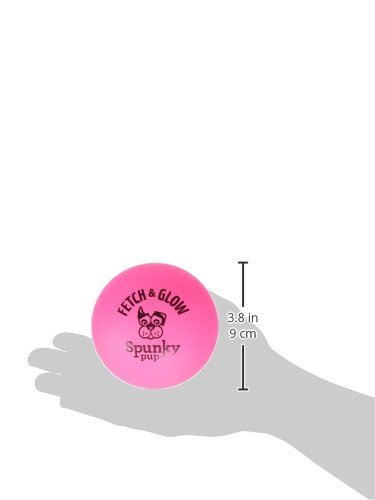 Spunky Pup Fetch and Glow Ball - Large [Colors Vary]