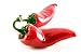 Sriracha Sea Salt - Kosher Certified Gourmet Seasoning - Pure Pacific Flake Indulgence - The Perfect Combination Of Sea Salt, Sriracha Hot Sauce, & Habanero - Packaged & Made in The USA