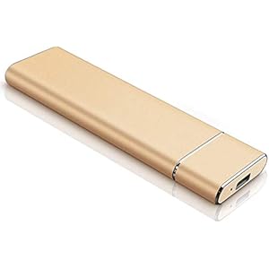 2 TB externe harde drive, draagbare harde schijf extern type C / USB 2.0 HDD voor Mac laptop PC (2 TB, Gold)