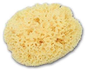 Large Luxurious Greek Silk Soft Natural Sea Sponge Adult Bath 6''- 6.5''