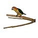 Birds LOVE Bottlebrush Wood Bird Perches for Parakeets, Lovebirds, Conures, Cockatoos, Pionus & Medium Sized Birds - Parrot Perch Stand & Bird Cage Accessories - Natural Wood Medium Perches