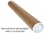 Ofisson Giant (36x24in) Dinosaur 3D Wall Sticker - Realistic Jurassic Decal Illusion Effect Mural 3M Sticker