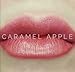 Caramel Apple LipSense by SeneGence