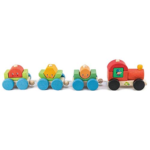 Tender Leaf Toys TL8337 Happy Train - Pull Along Sorting & Stacking Wooden Train Toy - Improves Visual Memory & Shape Recognition Skills - Interactive Cognitive Development - 18 Months +, Multicolor