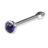 Body Candy Stainless Steel 1.7mm Purple Nose Bone Created with Swarovski Crystals 20 Gauge 1/4