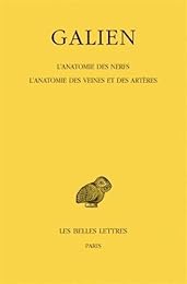 L' anatomie des nerfs