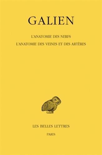 L' anatomie des nerfs