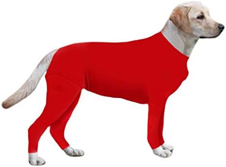 dog cone collar target