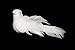 2 1/2" White Dove 12 Doves New