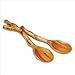 Rootworks Large Salad Bowl w 2 Root Servers