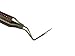 Dental Periodontal Probe CP12-23 Dental Explorer. Perio Probe Explorer