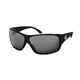 Dragon Recruit Sunglasses