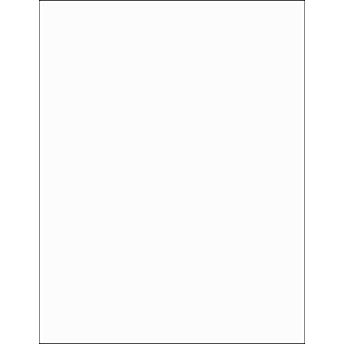 Tape Logic Aviditi Tape Logic 8 1/2" x 11" Clear Shipping Labels, for Laser Printers, Permanent Adhesive, 8 1/2" x 11" Sheet, 1 Labels Per Sheet, 100 Sheets