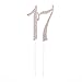 Ella Celebration 17 Cake Topper for 17th Birthday, Rhinestone Number Decoration Party Supplies (Rose Gold)