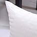 EvZ Premium Stuffer Pillow Insert Sham Square Form Polyester, 22